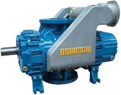 Robuschi RBDV 45 65 85 105 Blower Overhaul Kits - RBDV-SERVICE-45