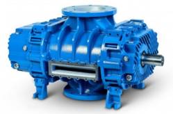 Robuschi RBDV 45 65 85 105 Blower Overhaul Kits - RBDV-SERVICE-45