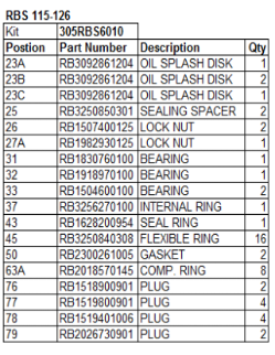Robuschi RBS Blower Overhaul Kits - RBS-SERV-301RBS6010