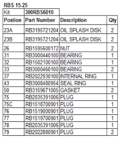 Robuschi RBS Blower Overhaul Kits - RBS-SERV-301RBS6010